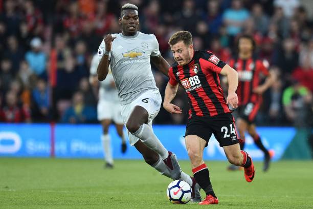 粮食作物的 粮食作物的