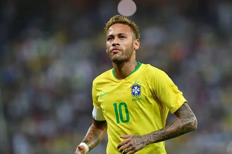 無疑印證了 無疑印證了